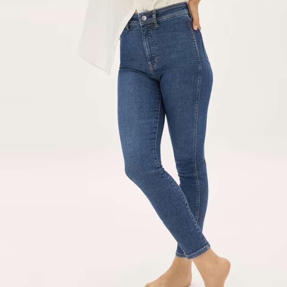 Everlane The Way-High Clean Front Skinny Jean 30
